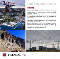 GRÚAS TORRE TEREX - 10