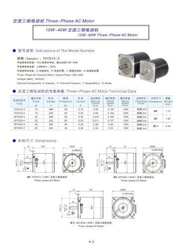 DYD MOTOR_15W ~ 40W Three Phase AC Motor