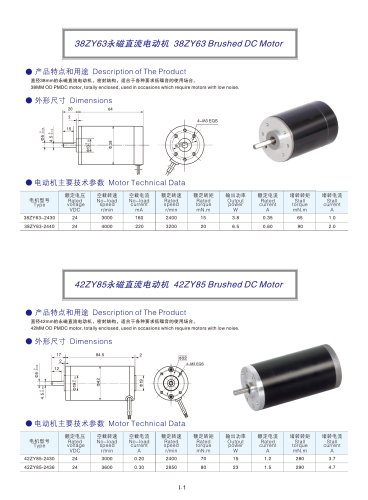 DYD MOTOR_Brushed DC Motor_42ZY85