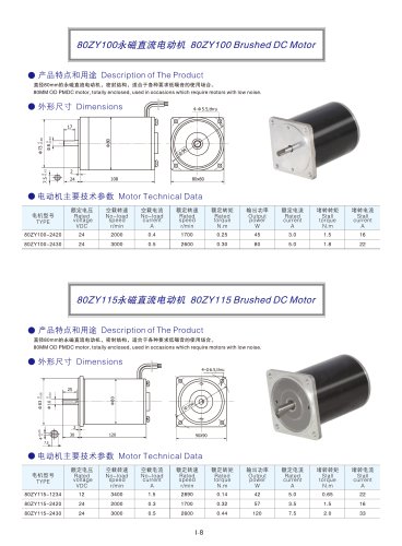 DYD MOTOR_Brushed DC Motor_80ZY100