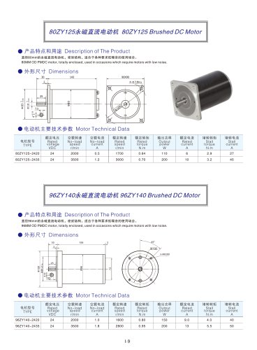 DYD MOTOR_Brushed DC Motor_80ZY125