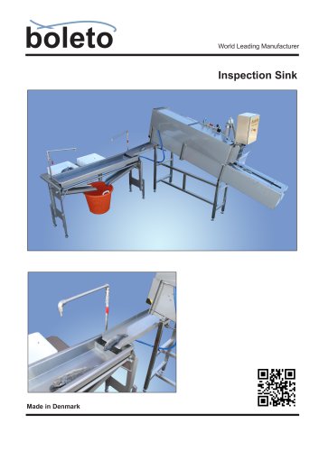 Inspection Sink