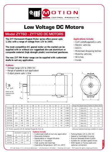 Model ZYT60 - ZYT120 DC MOTORS