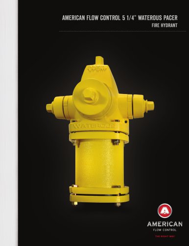 5 1/4" Waterous Pacer Fire Hydrant