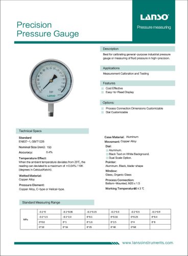 Precision Pressure Gauge