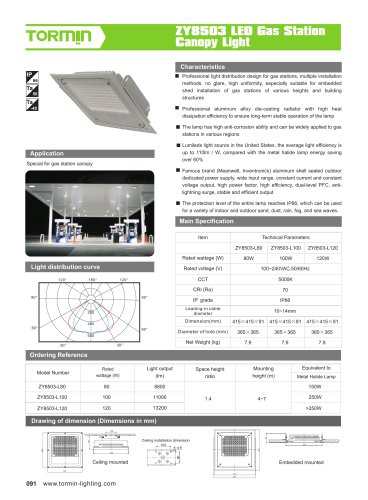 ZY8503 non ex fixed professional light