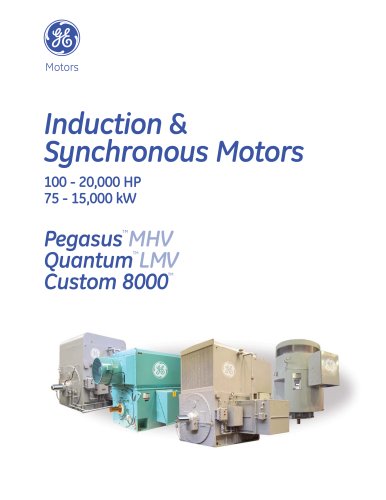 Induction and Synchronous Motors