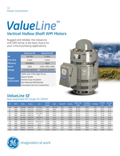 ValueLine High Efficiency, Vertical Hollow Shaft WPI High Thrust Motors