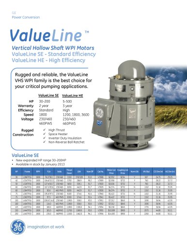 VHS WPI Standard Efficient Motors