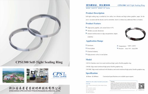 CPS1300 Valve seat Sealing Ring