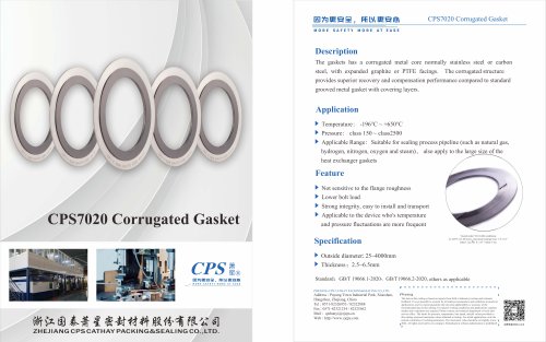 CPS7020 Corrugated Gasket