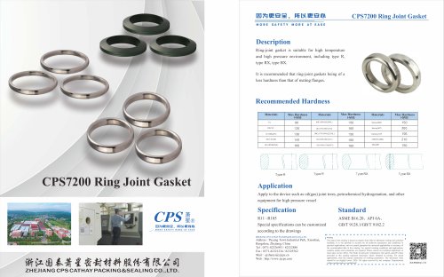 CPS7200 Ring Joint Gasket