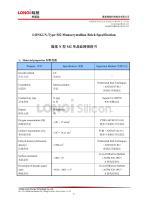 LONGi N-Type M2 Monocrystalline Brick Specification