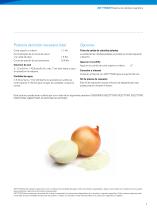 FTNON Magnetic Onion Peeler - 7