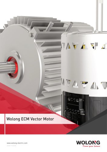 Wolong ECM Vector Motor