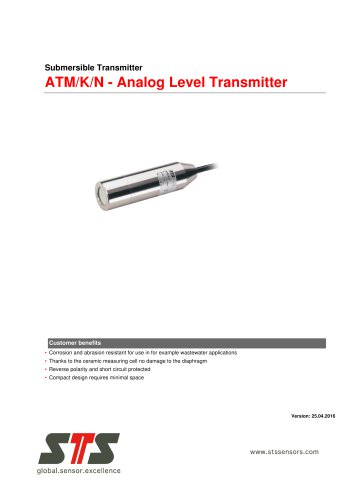 ATM/K/N - Analog Level Transmitter