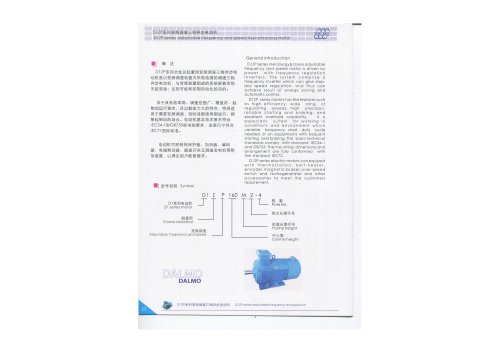 D1ZP series adjustable frequency and speed Asychronous motor