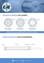 EJES EXPANSIBLES NEUMÁTICOS EN VOLADIZO - 2