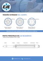 EJES VOLADOS CON DESPLAZAMIENTO AXIAL - 2