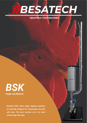 Besatech_BSK_EN