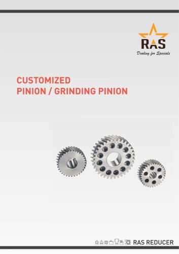 CUSTOMIZED PINION / GRINDING PINION