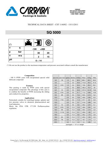 PTFE Packing - SQ5000