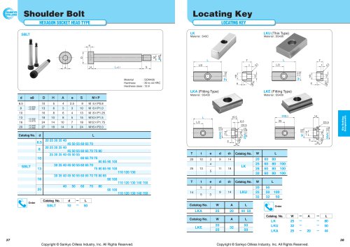 Shoulder Bolt and Locating Key