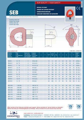 Swivel Eye Bolt: SEB