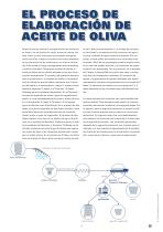 Aceite de oliva - 4