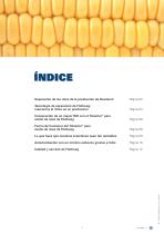 Bioetanol (recuperación de aceite de maíz)-2