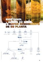 Bioetanol (recuperación de aceite de maíz)-5
