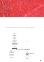 Tecnología de separación para la industria cárnica - 6