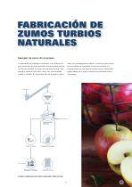 Zumo de fruta - 10