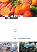 Zumo de fruta - 5