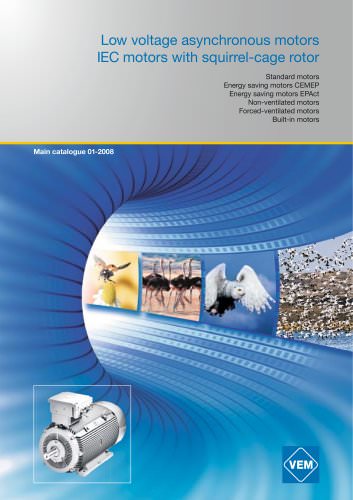 Low voltage asynchronous motors IEC motors with squirrel-cage rotor