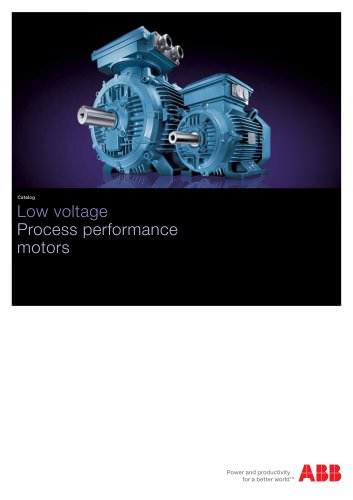 Low Voltage Process Performance Motors