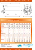 Caldera horizontal de fluido térmico serie TPC-H - 2