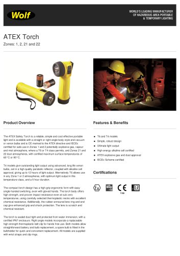 ATEX Safety Torch