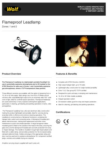 Flameproof Leadlamp