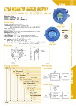 Process indicator D_1000