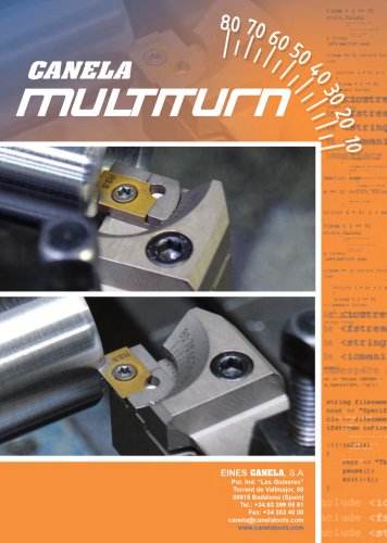 multiturn