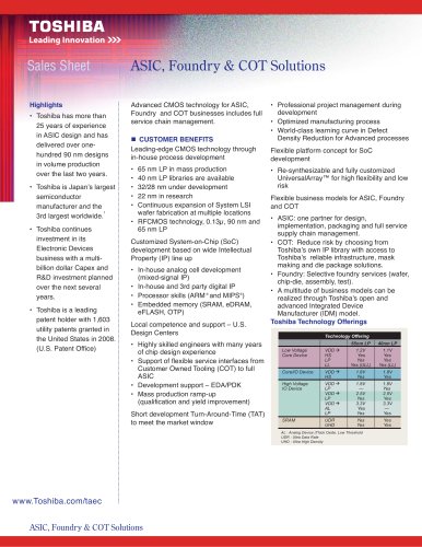 ASIC, Foundry & COT Solutions