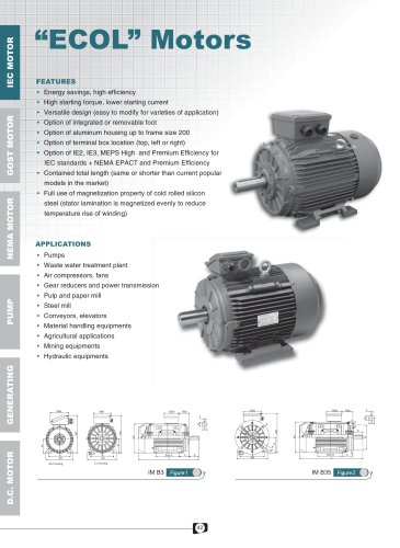 "ECOL" Series High Efficiency 3-Phase Asychronous Aluminum/Cast Iron Motors