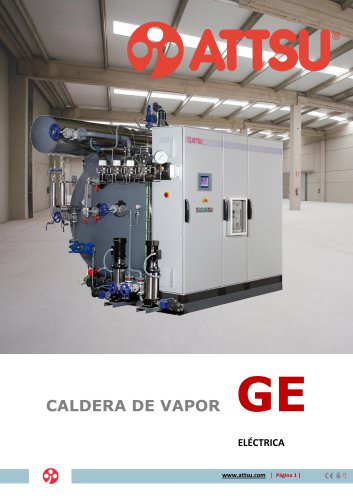 CALDERA DE VAPOR GE