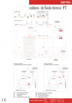 Calderas de fluido térmico FT - 6