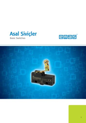 Basic switches