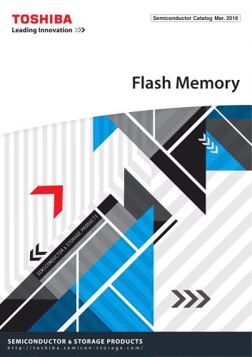 Flash Memory