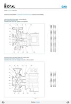 Bombas horizontales - Norma DIN 24255 Serie RN-RNI 60 Hz. - 43