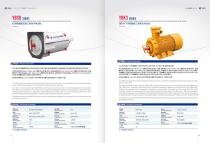 MINING EXPLOSION-PROOF DUAL SPEED THREE-PHASE ASYNCHRONOUS MOTOR YBSD SERIES