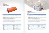 VARIABLE FREQUENCY SPEED REGULATION THREE-PHASE ASYNCHRONOUS MOTOR (AIR COOLED)  YBRB SERIES